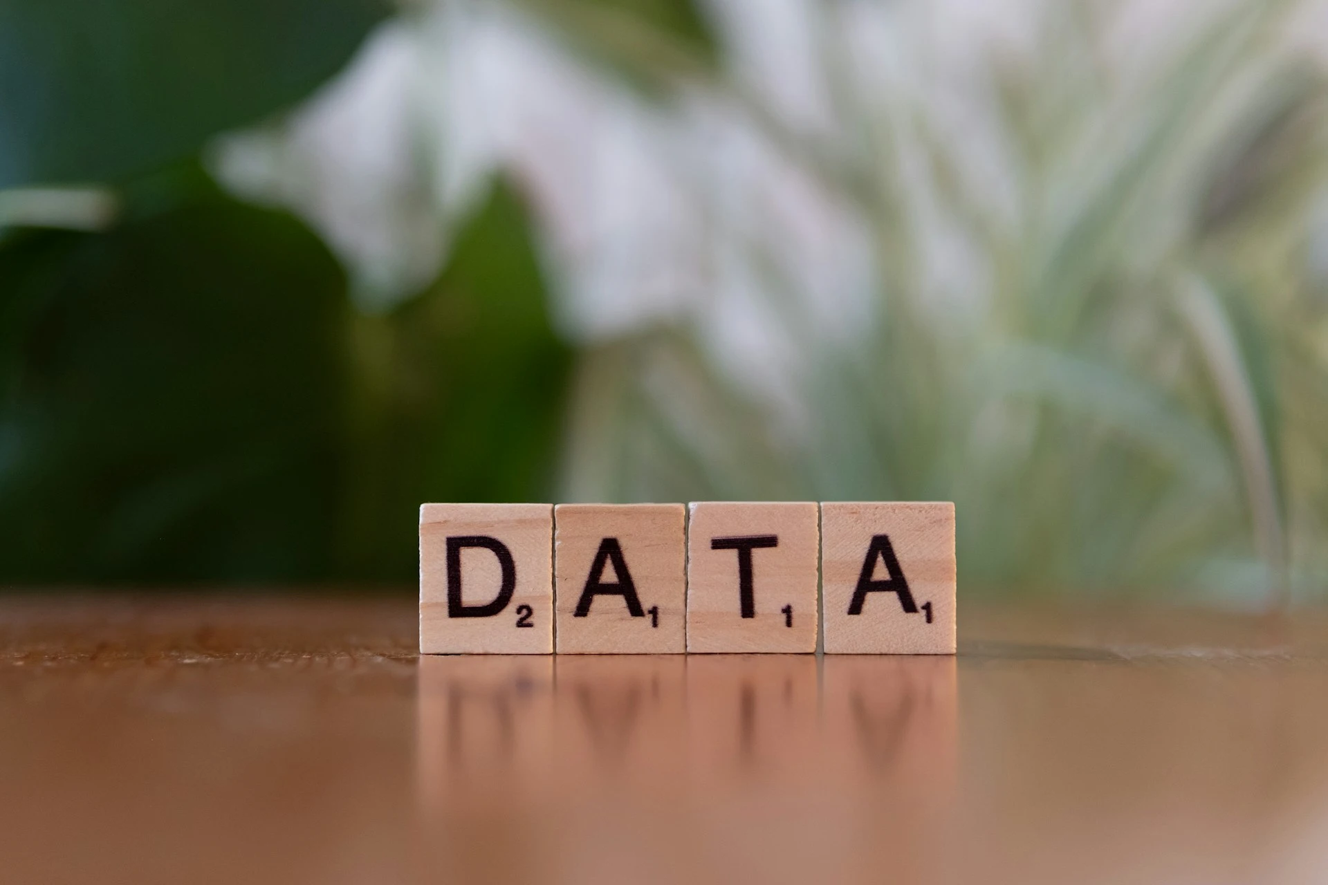 Data Expertise